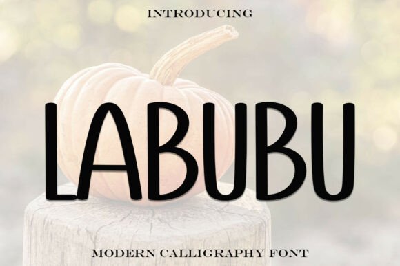 Labubu: A Sweet Handwritten Sans Serif for Joyful Design