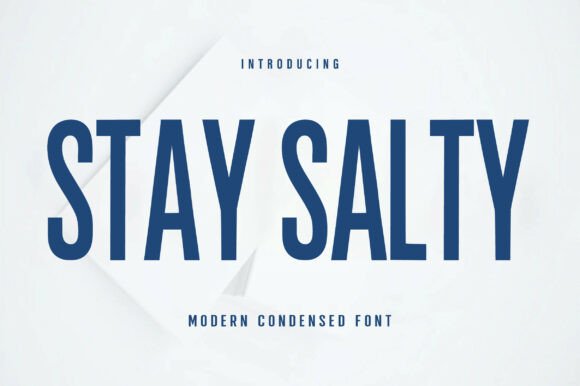 Stay Salty: A Bold Modern Display Font